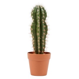 CACTUS STETSONIA CORYNE 64 CM
