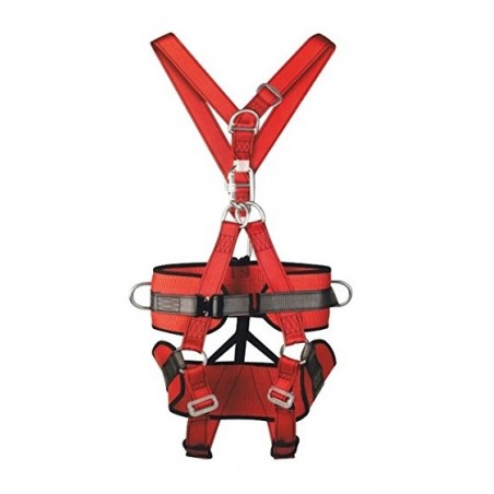 ARNES ASIENTO ECOSAFEX-COMFORT