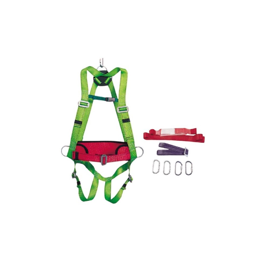 HARNESS WITH BELT - ECOSAFEX 4 - COMPLETE