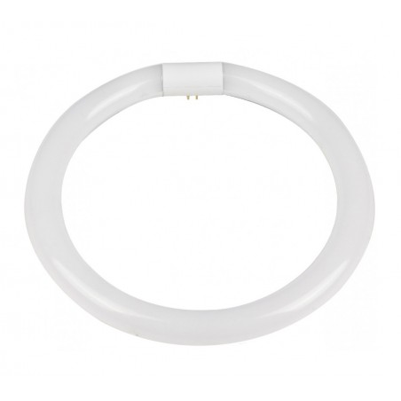 TUBO CIRCULAR LED 15 W 6500 K