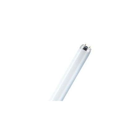 TUBO LED 20 W 120 CM 6400 K LIBERTINA