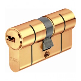 BULB D6PS SEG. 40x50 BRASS