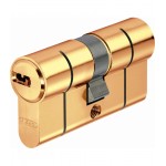 BULB D6PS SEG. 40x50 BRASS