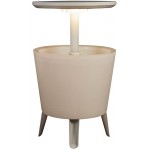 NEVERA COOL BAR ILUMINADA