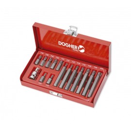 ESTUCHE PUNTAS 10MM TORX (15 PZAS)