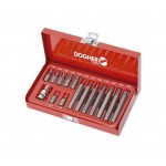 ESTUCHE PUNTAS 10MM TORX (15 PZAS)