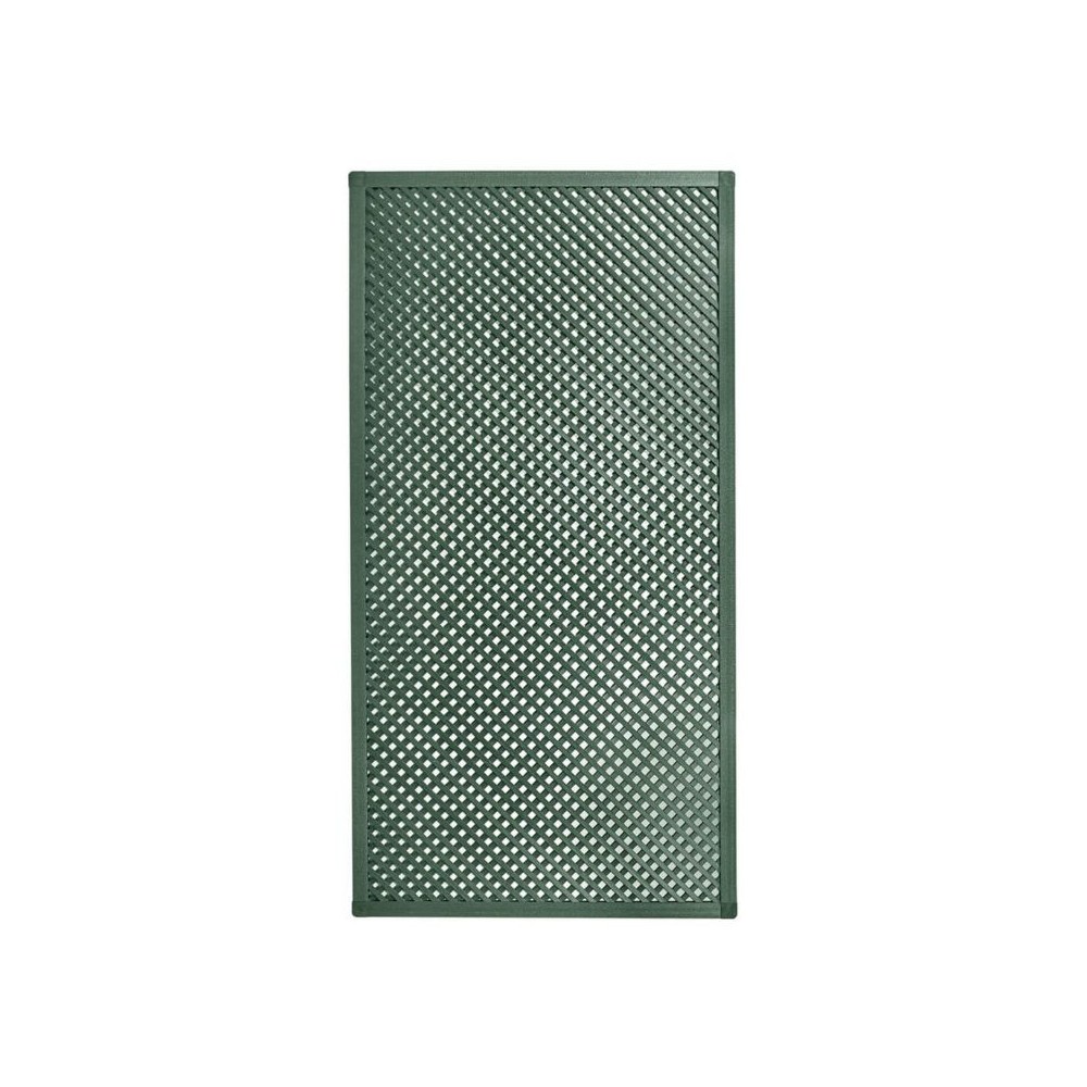 CELOSIA LOP 0.6X1.2 GREEN