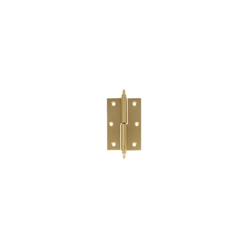 HINGE 1007-100X70 BRASS-MATT RIGHT SPECIFIC