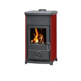 ESTUFA DE LEÑA MAESTRAL N BRAUN